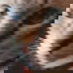 Nano Naka profile icon