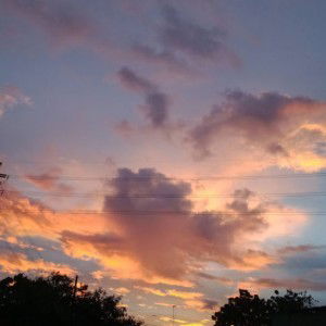 Michelle Tam profile icon