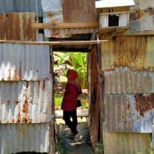 Agita Purwitasari Mellifera profile icon