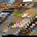 Agita Purwitasari Mellifera profile icon