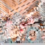 Siti Latifah profile icon