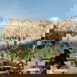 Siti Fhauzanur profile icon