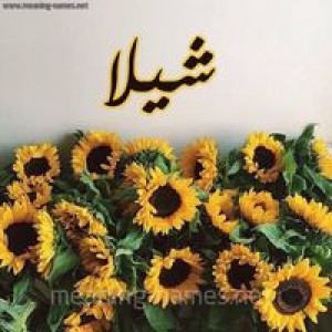 Sheila Hulwah Aqilah profile icon