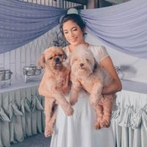 Gladiola Hendive profile icon