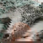 Jovilyn Mendoza Jarane profile icon