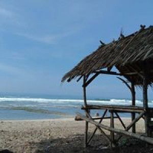 Aulia Asyifa profile icon