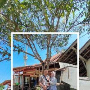 Angeline'Lena profile icon