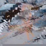 Gubgib Bireleys profile icon