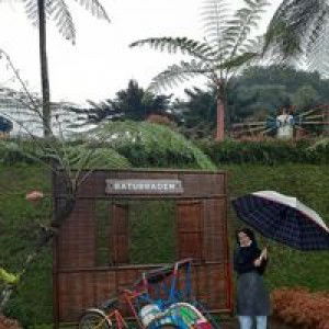 Siti Nurhasanah profile icon