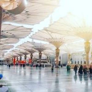 Sartika Anwar profile icon