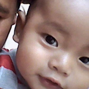 sulis wahyudi profile icon