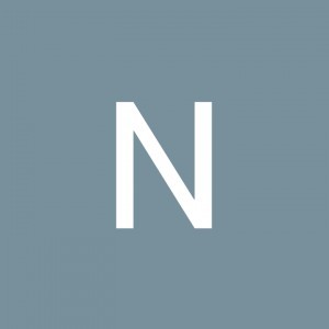 Nipaporn Lueangphuangkaew profile icon