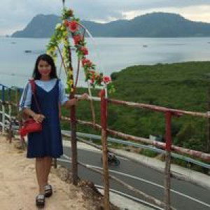 Desy Manik Raja profile icon