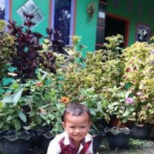 Rossit Idah profile icon