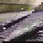 Fatima J. Caluza profile icon