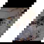 Riska Ade Putri profile icon