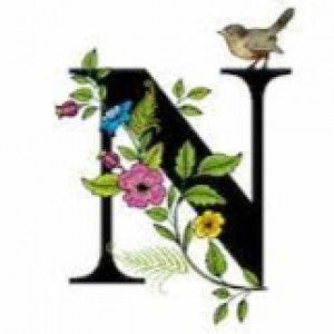 norlin iman profile icon