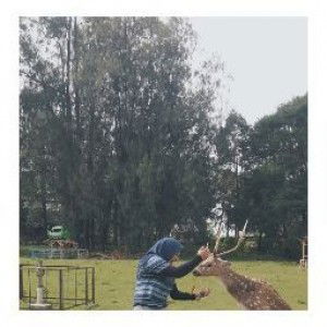 Sri Utami A profile icon