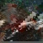 Lestari Agaivent Togatorop profile icon