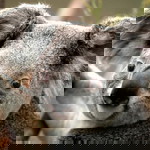 cindy magdalena profile icon