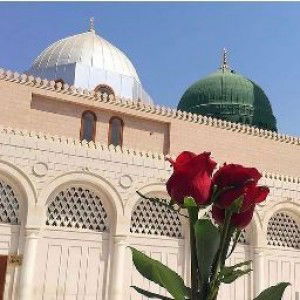 yanita arafah profile icon