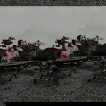 Meyga Elvina Mariani Sulu profile icon