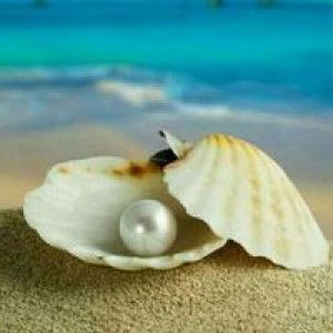 Riza Fitriana Efendi profile icon