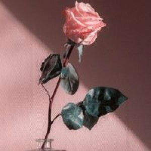 Setia Wati profile icon