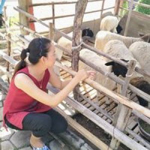 Wipharat Nakling profile icon