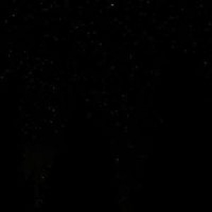 Ferly-Ann Negosa Rosario profile icon