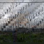 WuLan Kimeito Permatasari profile icon