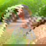 Maprang Pawinee profile icon