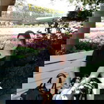 Judith Anne Silvestre profile icon