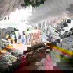 Yandt Dhiyandt Novita profile icon