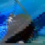 Shampoo Cat profile icon