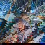 ตอง ตี้. profile icon