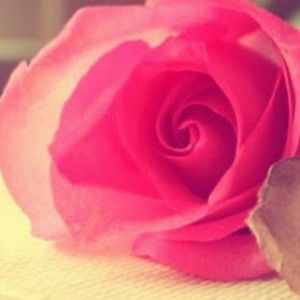 Navjeet Bajwa profile icon