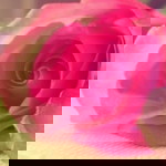 Navjeet Bajwa profile icon