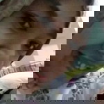 Elfira Utari profile icon