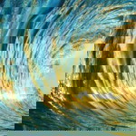 Miss Fara profile icon