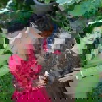 Nalin Ps profile icon