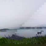 Jane Sia profile icon