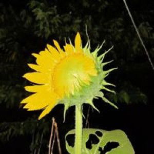 Baiq RhinRin profile icon