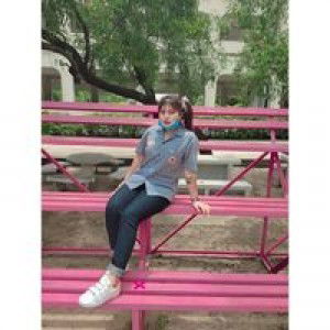 มัลว์ ฟรอย profile icon