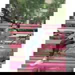 มัลว์ ฟรอย profile icon