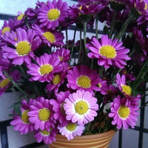 widya Yang profile icon