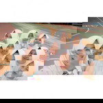 Rini Kiramy profile icon