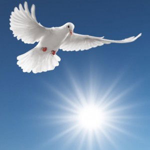 laddawan Dumnakkaew profile icon