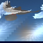 laddawan Dumnakkaew profile icon