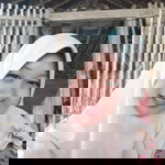 Lia Dahlia profile icon